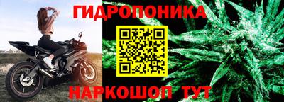 трава Кинель