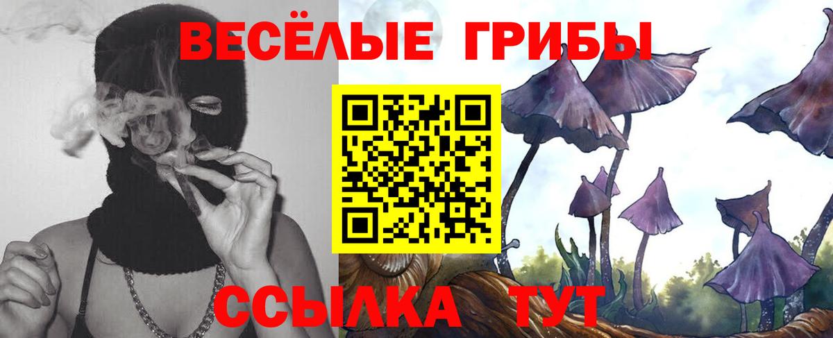 Галлюциногенные грибы мицелий  дарнет шоп  Коряжма  Вход с VPN 